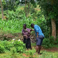 Agriculture & enterprise